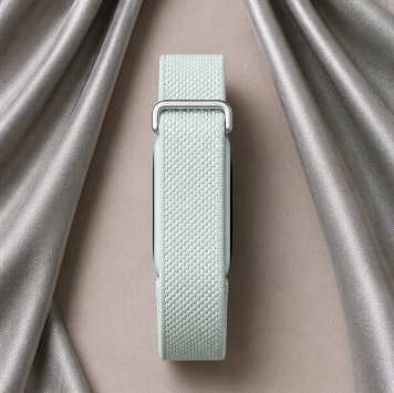 Fitbit Standart Brume