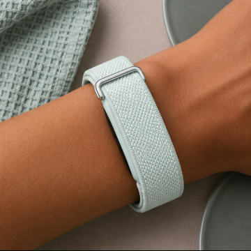 Fitbit Standart Brume