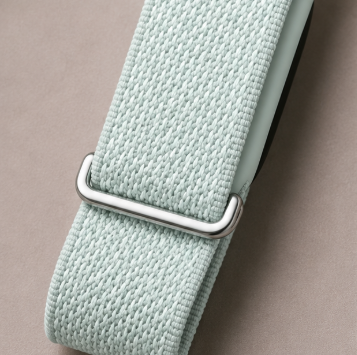 Fitbit Standart Brume