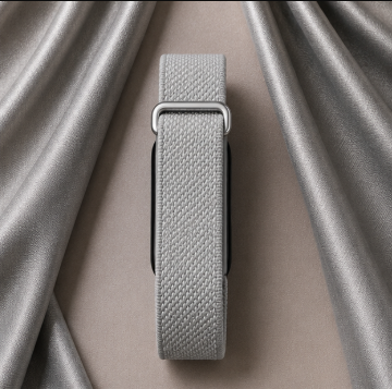 Fitbit Standart gris premium