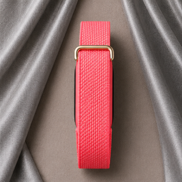 Fitbit Standart rose