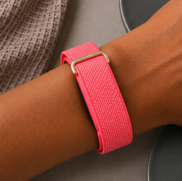 Fitbit Standart rose