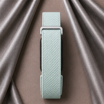 Fitbit Premium Brume