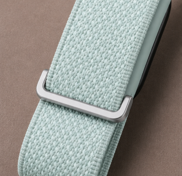 Fitbit Premium Brume