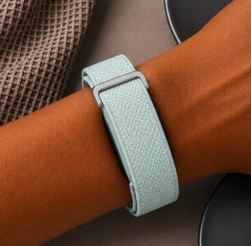 Fitbit Premium Brume