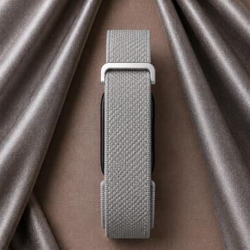Fitbit Premium Gris
