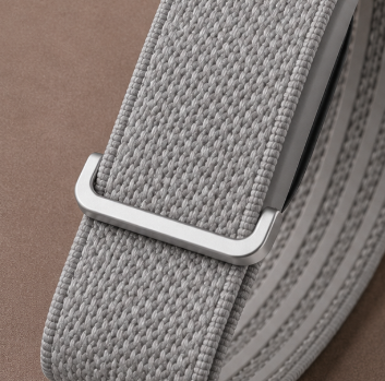 Fitbit Premium Gris