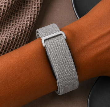 Fitbit Premium Gris