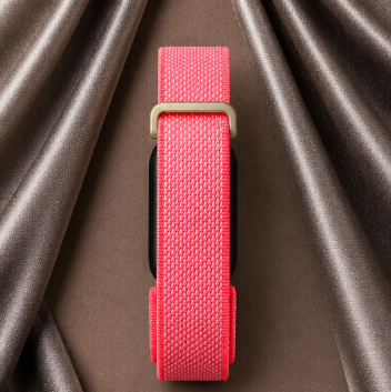 Fitbit Premium rose