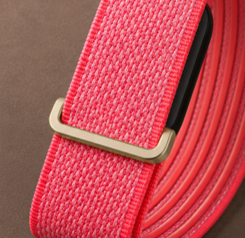 Fitbit Premium rose