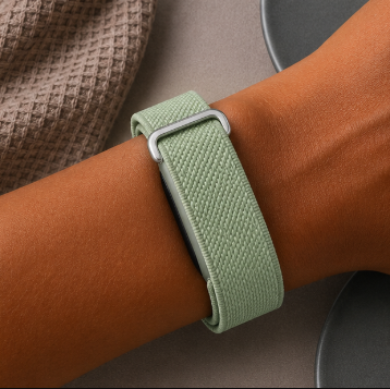 Fitbit Standart vert