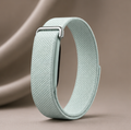 Fitbit Standart Brume