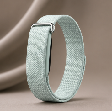 Fitbit Standart Brume
