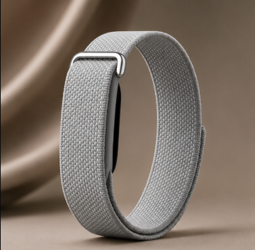 Fitbit Standart gris premium