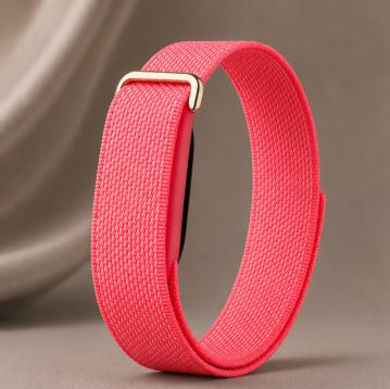 Fitbit Standart rose