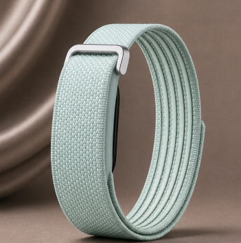 Fitbit Premium Brume