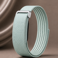 Fitbit Premium Brume