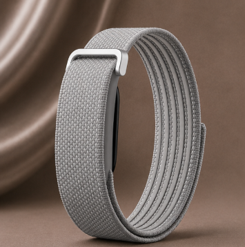 Fitbit Premium Gris