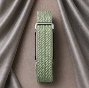 Fitbit Standart vert