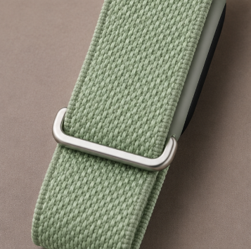 Fitbit Standart vert