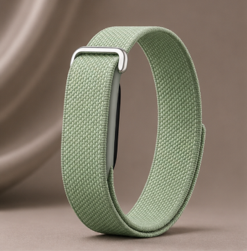 Fitbit Standart vert